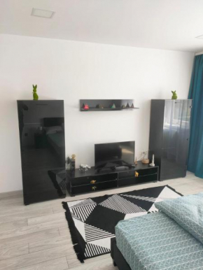 Apartament cu 1 dormitor
